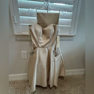 Brand-New Eureka Party Dress (Color: Champagne)